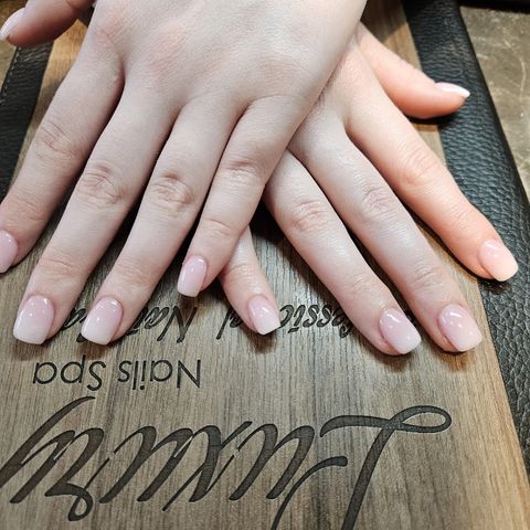 Lockport Luxury Nails & Spa, nail salon in Lockport, IL